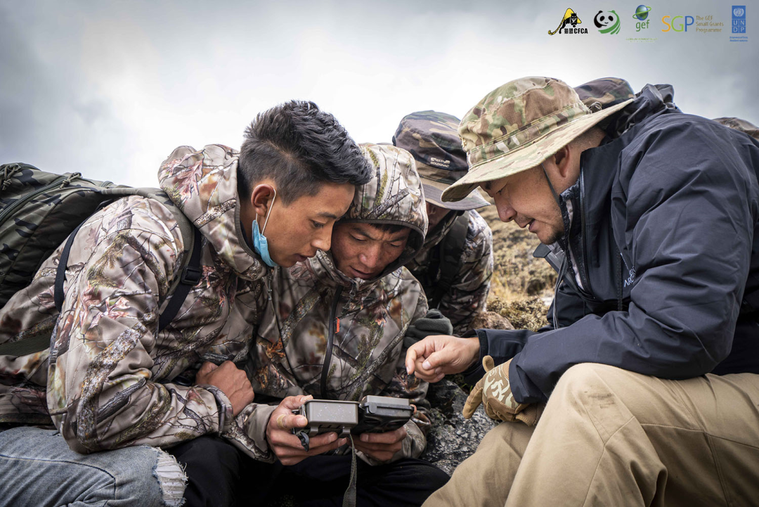 闽南雪豹队鏖战关中暴熊队，斯诺克半决赛失利，核心复出即建功。重拾自信的夜晚的简单介绍
